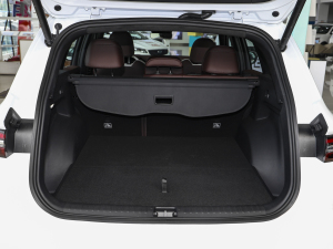 20212.0TD DCT EVOF g