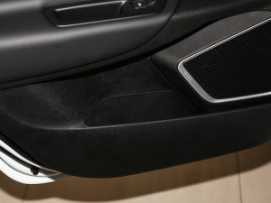 2021EV Pro W(wng)s g