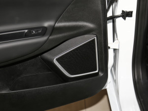 2021EV Pro W(wng)s g