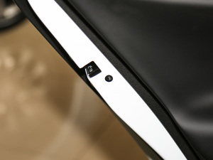 2021EV Pro W(wng)s g