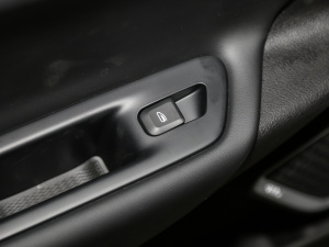 2021EV Pro W(wng)s g