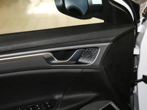 2021EV Pro W(wng)s g