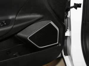 2021EV Pro W(wng)s g