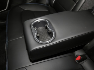 2021EV Pro W(wng)s g