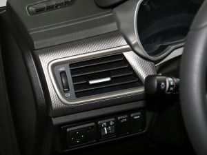 2021EV Pro W(wng)s g