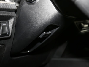 2021EV Pro W(wng)s g