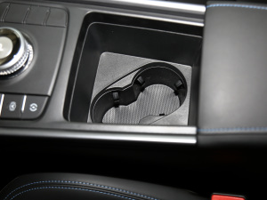 2021EV Pro W(wng)s g