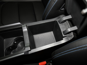 2021EV Pro W(wng)s g