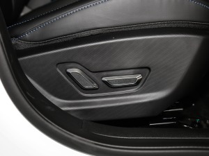 2021EV Pro W(wng)s g