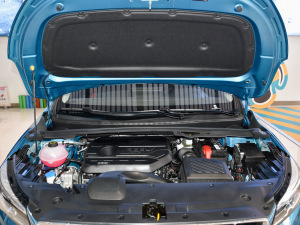 2021款1.4T CVT尊贵型 其它