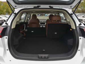 20211.8TD քӃ򌁆\ g