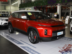 2021款1.5TD 锦鲤 整体外观
