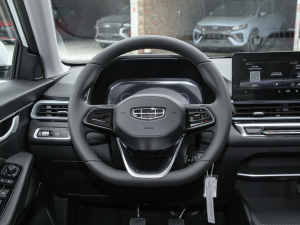 20224 1.5L ք(dng)Ӣ P