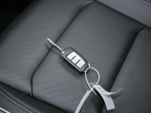 20224 1.5L քӾӢ ܇耳