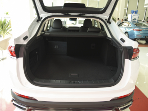 20212.0TD DCT(q)W늰 g