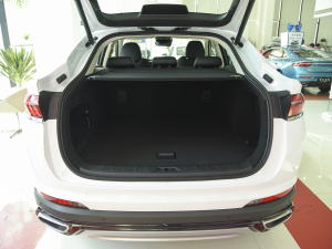 20212.0TD DCT(q)W늰 g