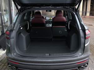 20211.5TD DCT Battle g