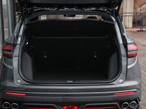 20211.5TD DCT Battle g