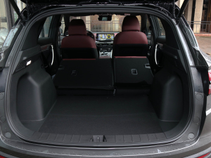 20211.5TD DCT Battle g