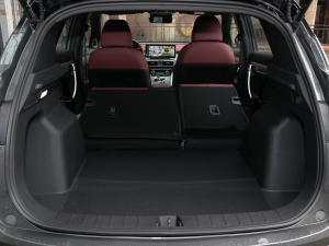 20211.5TD DCT Battle g