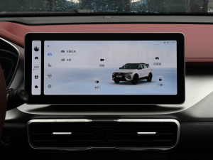 20211.5TD DCT Battle п؅^