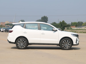 2021款PRO 1.4T 自动尊贵型 正侧（右）
