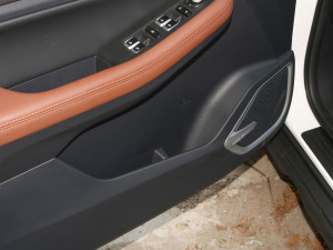 2021PRO 1.4T ԄF ǰTg