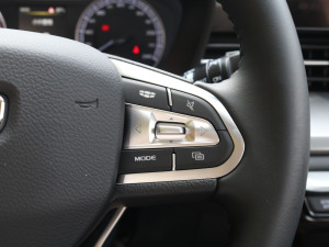 2021PRO 1.4T ԄF п؅^