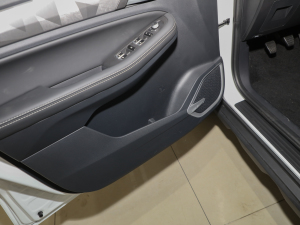 2021PRO 1.4T քӺA g