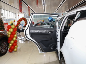 2021PRO 1.4T քӺA ܇T