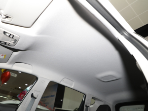 2021PRO 1.4T ք(dng)A п؅^(q)