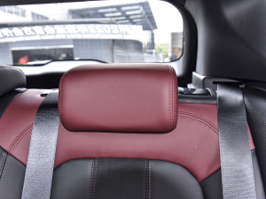 20221.5T ePro 85KMsҫ g