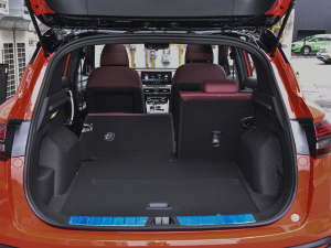 20221.5T ePro 85KMsҫ g