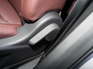 20221.5TD PHEV ׽m g