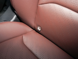 20221.5TD PHEV ׽m g