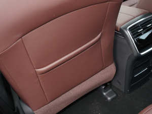 20221.5TD PHEV ׽A g