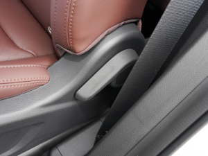 20221.5TD PHEV ׽A g