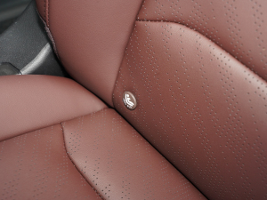 20221.5TD PHEV ׽A g