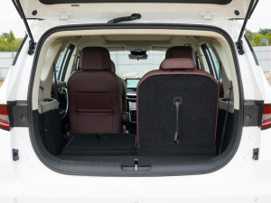 20221.5TD PHEV ׽A g