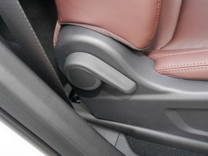 20221.5TD PHEV ׽A g