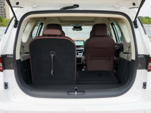 20221.5TD PHEV ׽A g