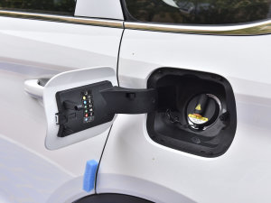 20221.5TD PHEV ׽F ^