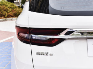 20221.5TD PHEV ׽F ^