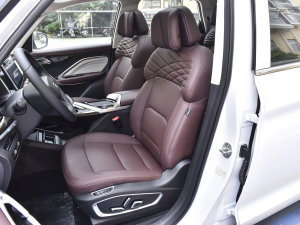 20221.5TD PHEV ׽F {