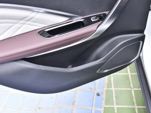 20221.5TD PHEV ׽F Tg