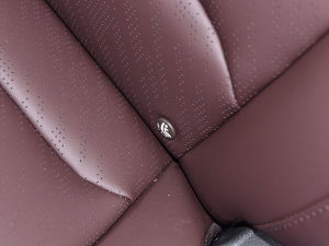 20221.5TD PHEV ׽F g