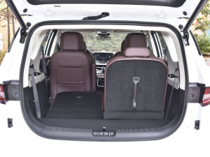 20221.5TD PHEV ׽F g