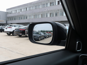 20231.5TD ɿ (x)(ji)^