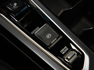 2022款COOL 1.5T DCT雷霆版 驻车制动器