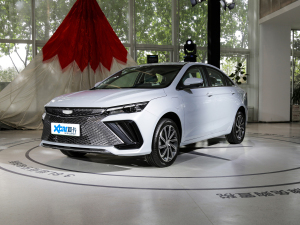 20221.5TD-DHT Pro 100KM Super ǰ45